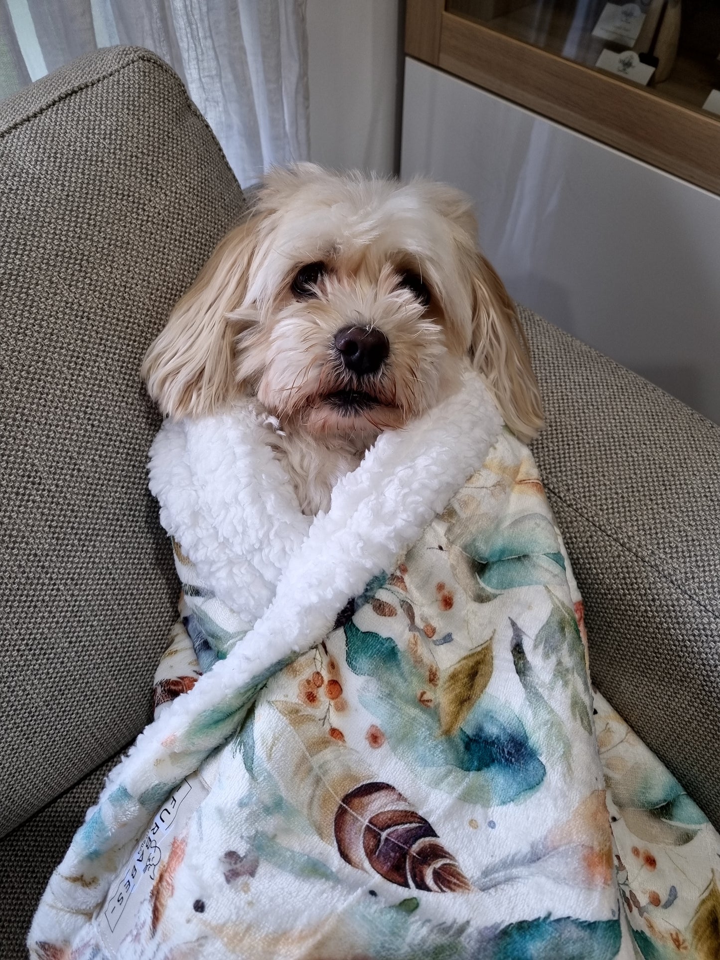 Dog and Cat Blanket - BAYSIDE BOHO SAGE