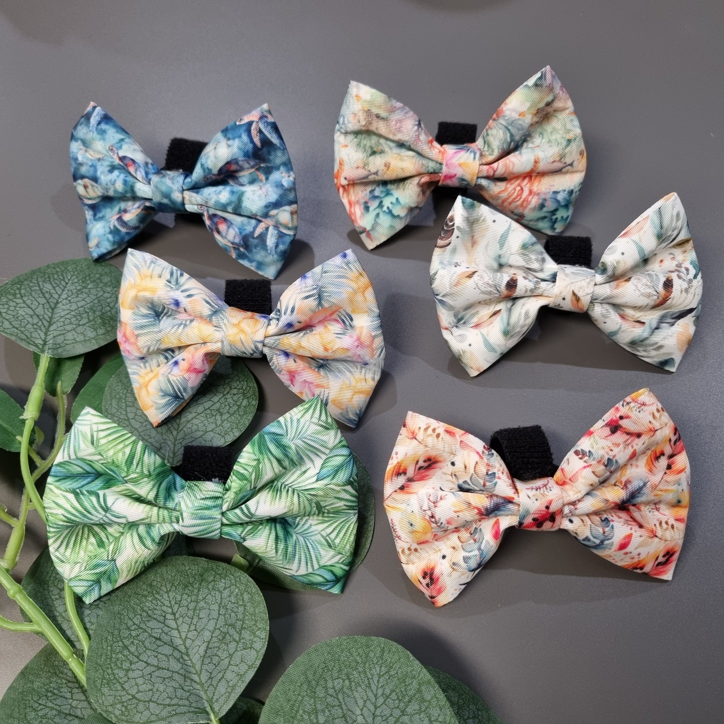 Dog Bow Tie - GREAT BARRIER REEF