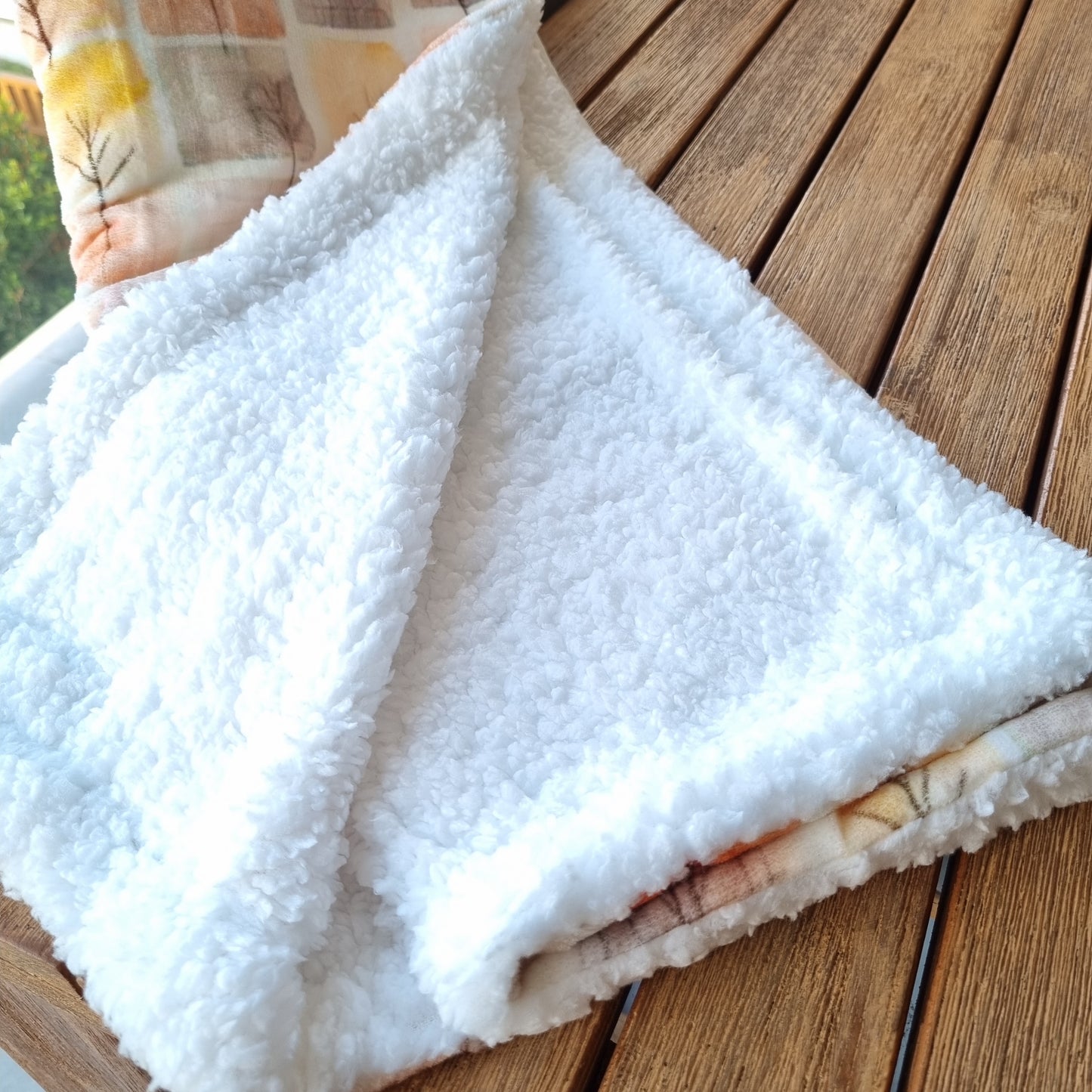 Dog and Cat Blanket - AUTUMN in VICTORIA