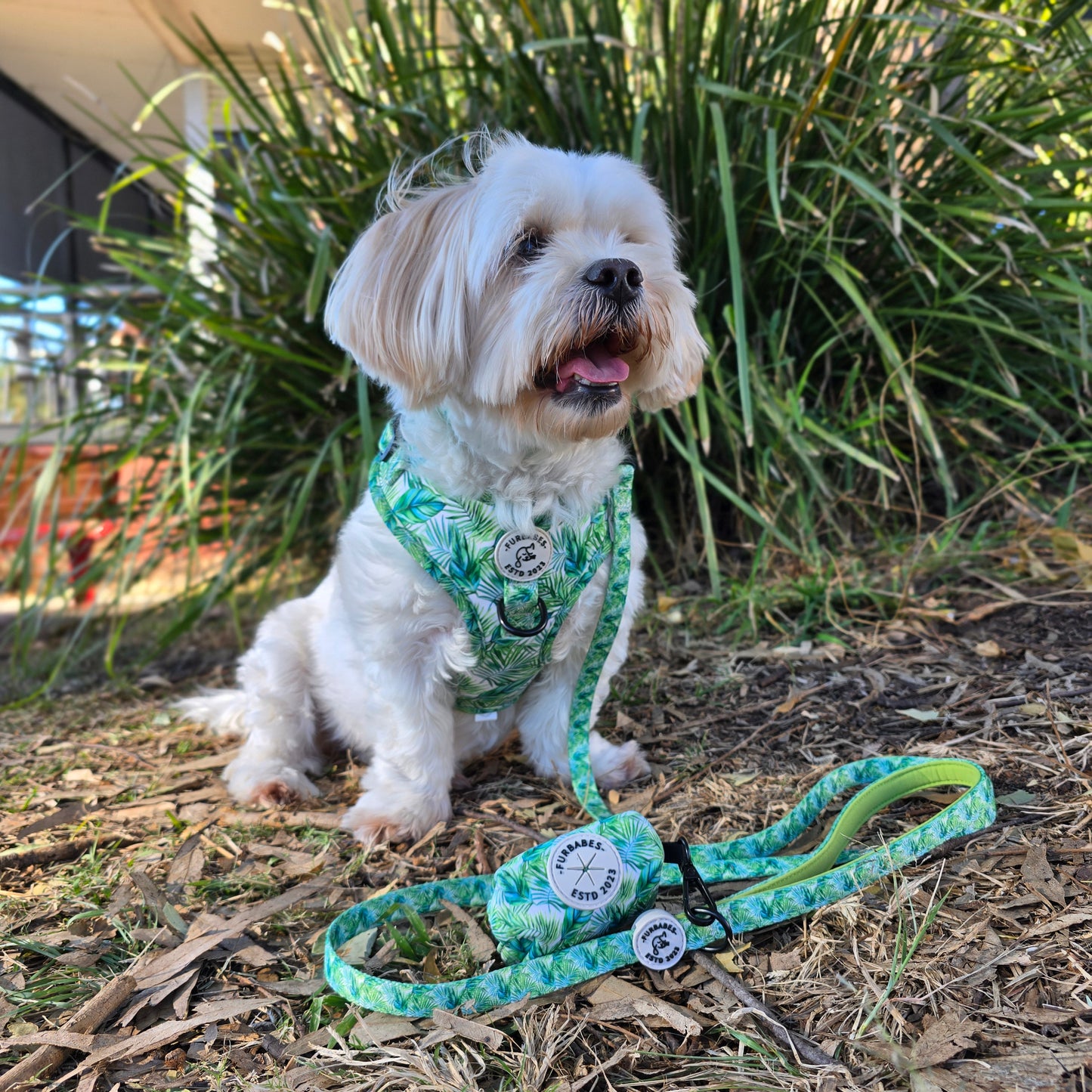 Dog Lead / Leash - BELLTHORPE JUNGLE