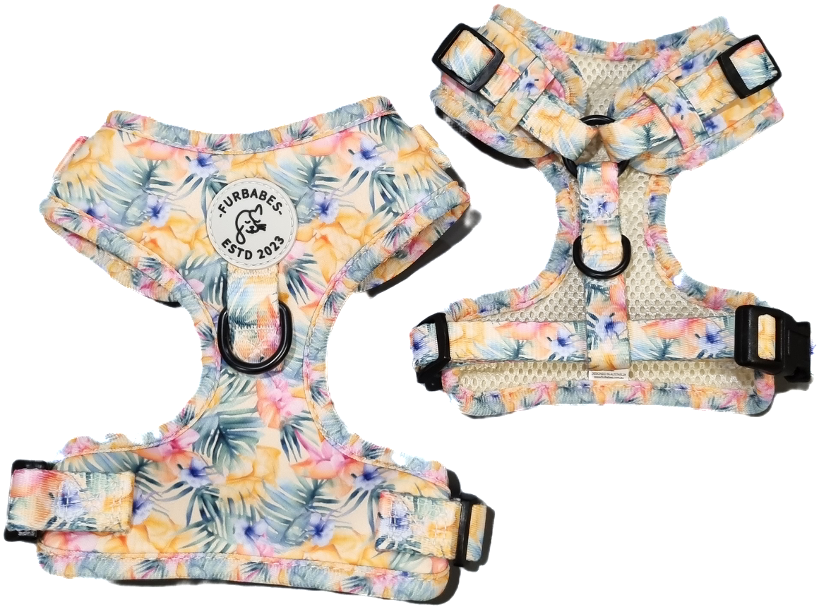 Fully Adjustable Neoprene Dog Harness BRISBANE IN BLOOM FURBABES