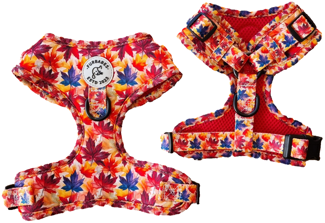 Fully Adjustable Neoprene Dog Harness - AUTUMN in BEECHWORTH