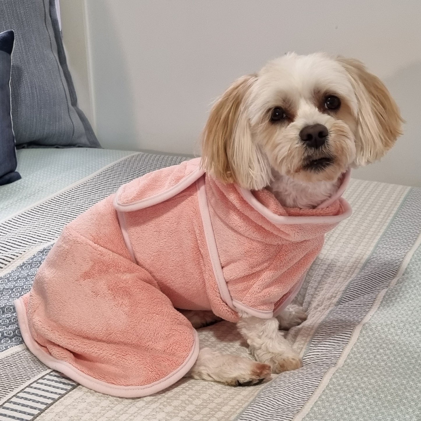 Dog BATH TOWEL / ROBE