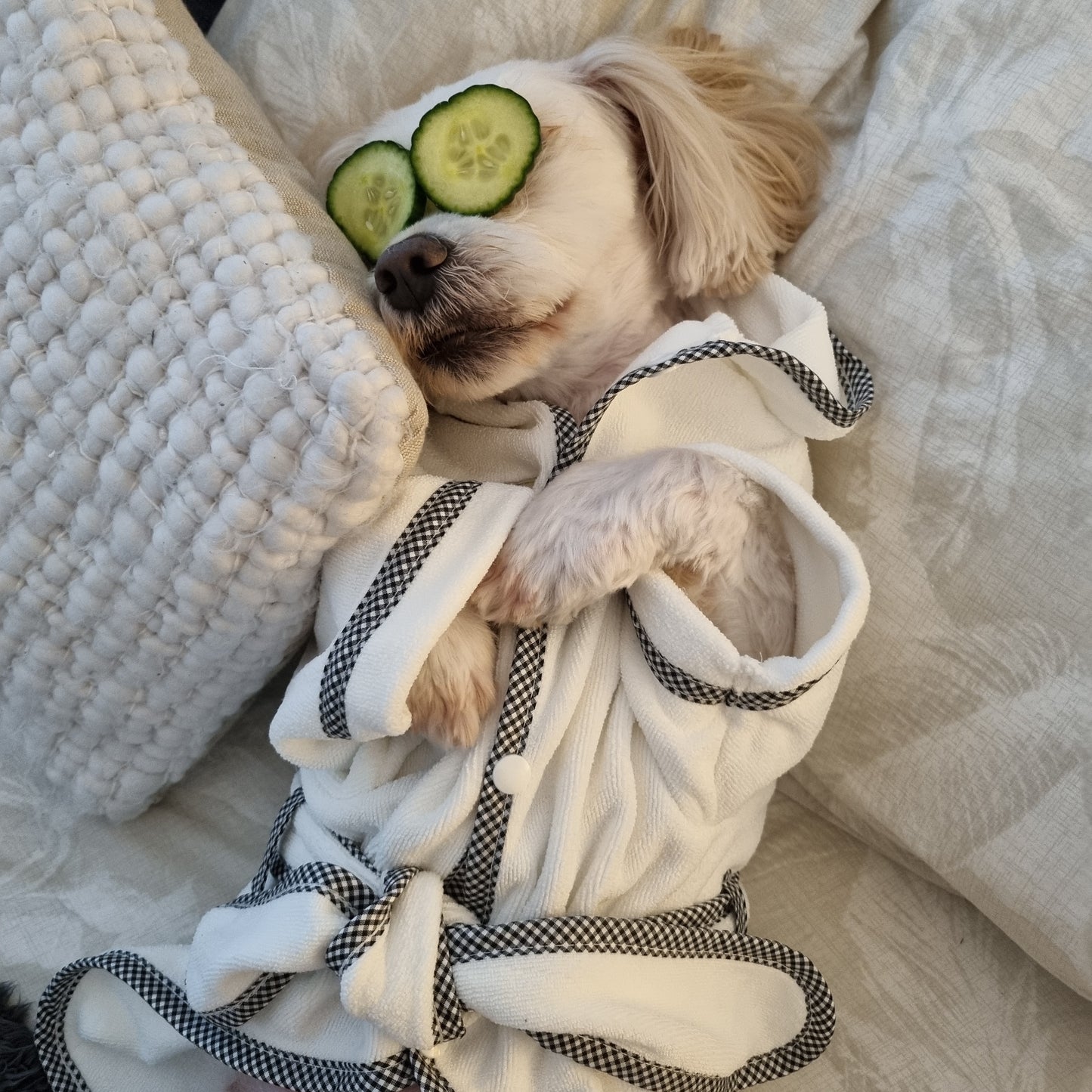 Dog Day Spa BATH ROBE