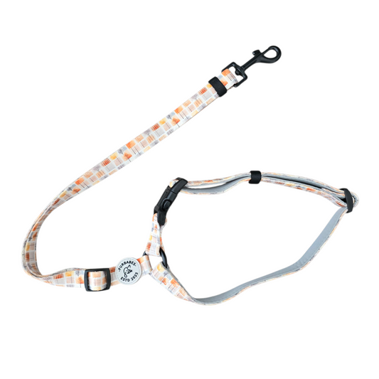 Adjustable Dog Car Restraint - AUTUMN in VICTORIA