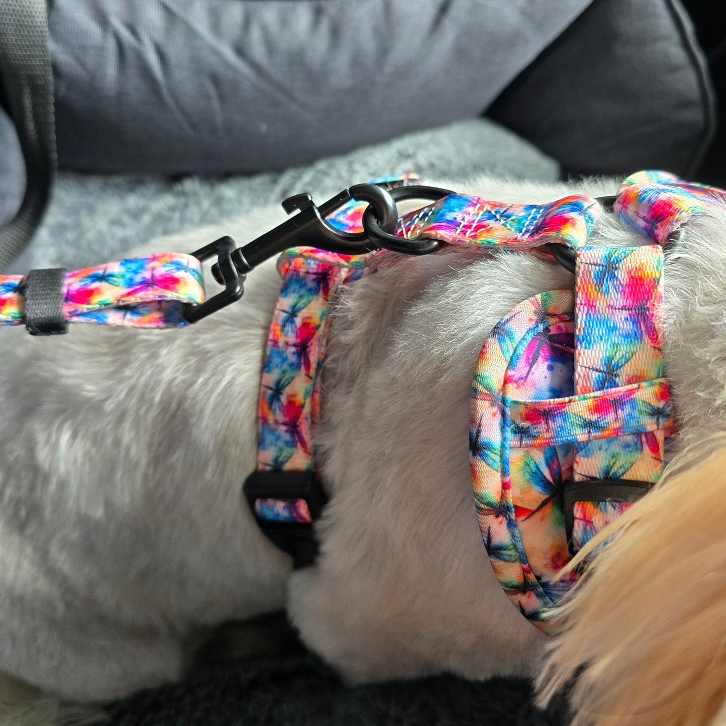 Adjustable Dog Car Restraint - DAINTREE DRAGONFLIES