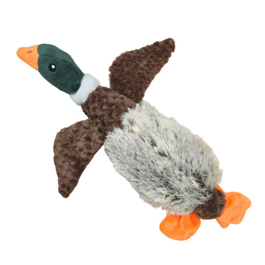 Dog Toy DAISY the DUCK