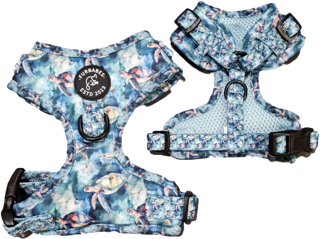 Fully Adjustable Neoprene Dog Harness BUNDABERG TURTLES FURBABES