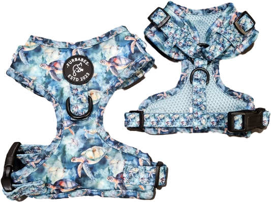 Fully Adjustable Neoprene Dog Harness - BUNDABERG TURTLES