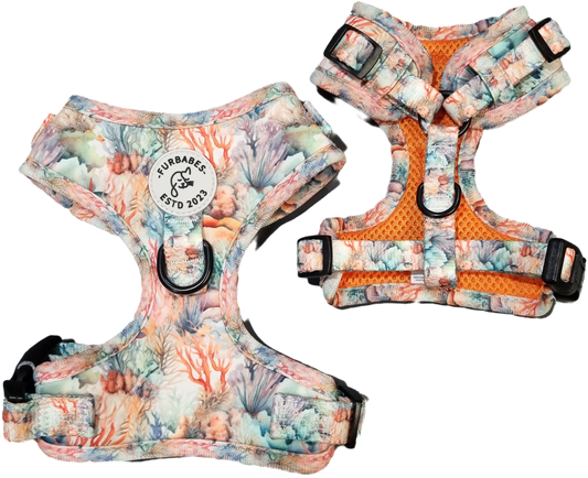 Fully Adjustable Neoprene Dog Harness - GREAT BARRIER REEF