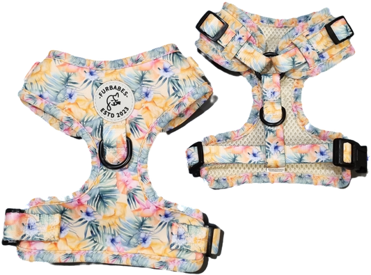 Fully Adjustable Neoprene Dog Harness - BRISBANE IN BLOOM