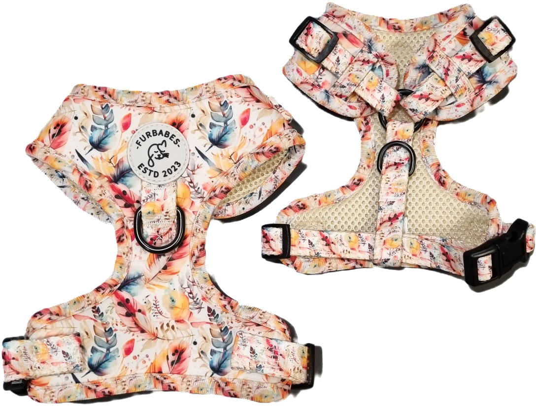 Fully Adjustable Neoprene Dog Harness - BAYSIDE BOHO BEIGE