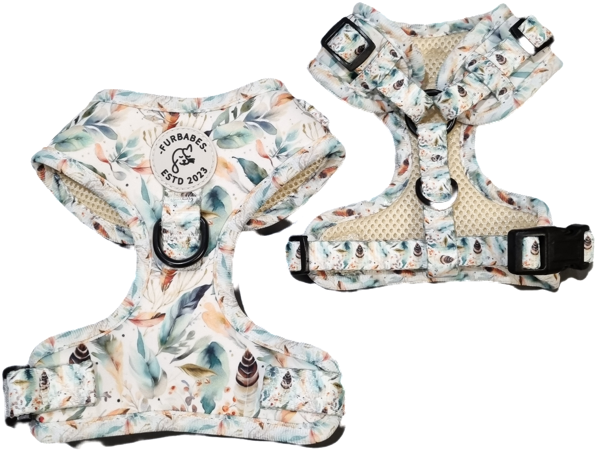 Fully Adjustable Neoprene Dog Harness - BAYSIDE BOHO SAGE