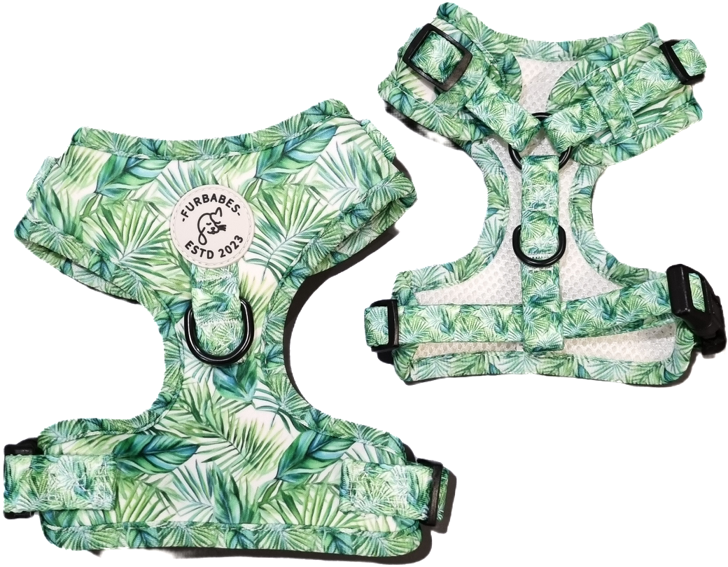 This predominantly green print features a thick palm print that represents a lush tropical jungle on a white background. The edging is finished in the same print while the underside is a crisp white breathable mesh with comfortable padding between the two.
All hardware is in contrasting black which includes the three adjustable points around the neck and belly as well as the metal rings on both the back and front. The back two rings can be used for walking or adding accessories like bow ties or an I.D tag.
