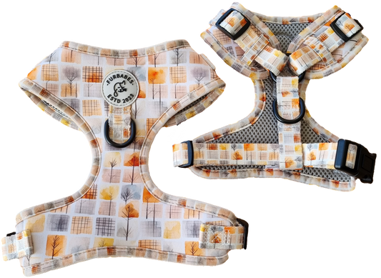 Fully Adjustable Neoprene Dog Harness - AUTUMN in VICTORIA