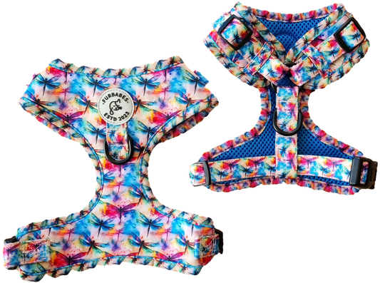 Fully Adjustable Neoprene Dog Harness - DAINTREE DRAGONFLIES