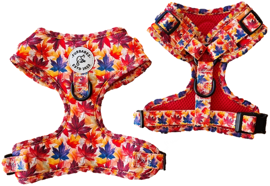 Fully Adjustable Neoprene Dog Harness - AUTUMN in BEECHWORTH