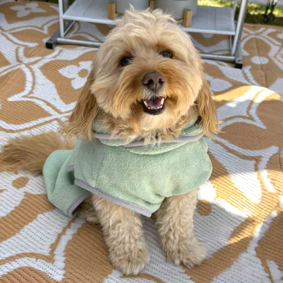 Dog BATH TOWEL / ROBE