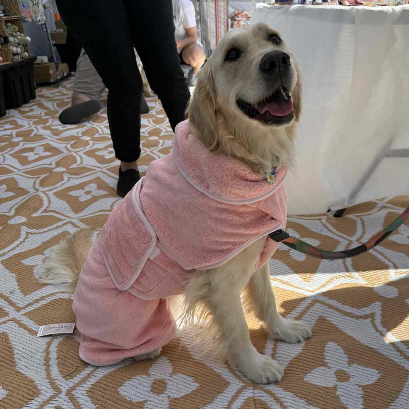 Dog BATH TOWEL / ROBE
