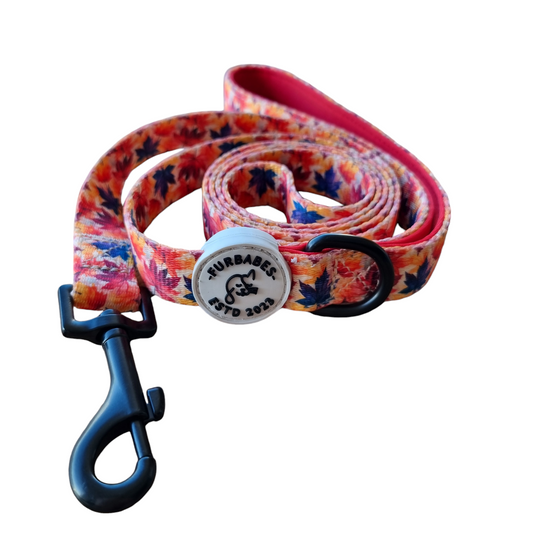 Dog Lead / Leash - AUTUMN in BEECHWORTH